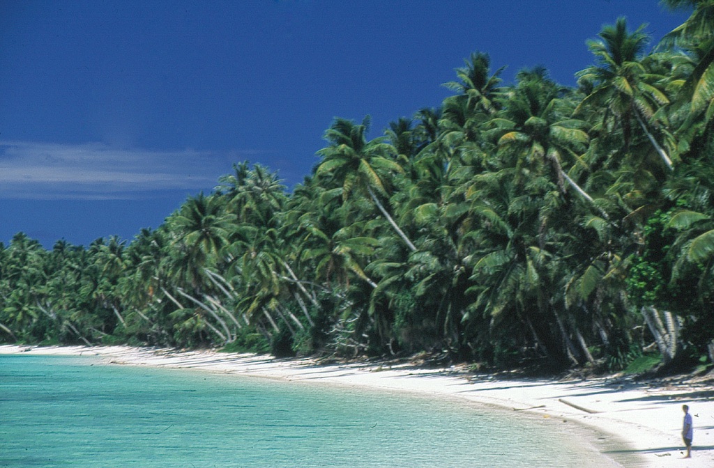 Palm trees leaning over a white sand beach on Jaluit Atoll, seen from the lagoon