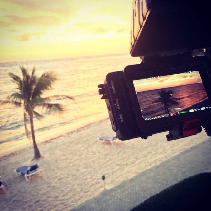 BTS